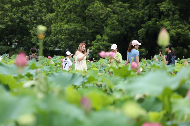 fshati Yucun në Zhejiang