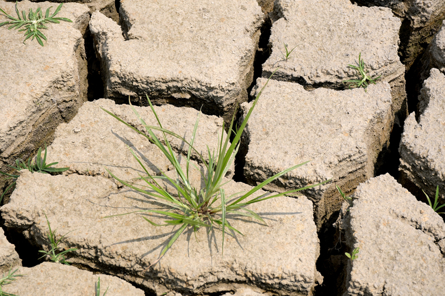 Shtim i fatkeqësive natyrore(Foto:VCG)