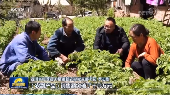 Luo Zhigang dhe fermerët në fshatin e tij./ foto nga CMG