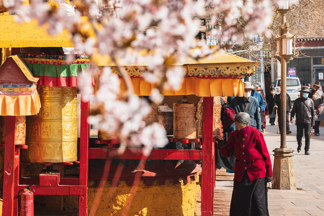 Përgjatë rrugës në qytetin Lhasa/ VCG