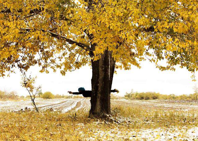 59-vjeçarja Jin Xiuying duke bërë pozën e jogës “Luftëtari III”, 10 tetor 2017 / foto nga Zhao Zhannan