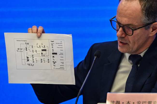 Eksperti i OBSh-së tregoi rezultatet e studimore në Wuhan(VCG)