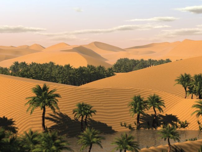 Shkretëtira e Saharasë (Foto: Blogspot)