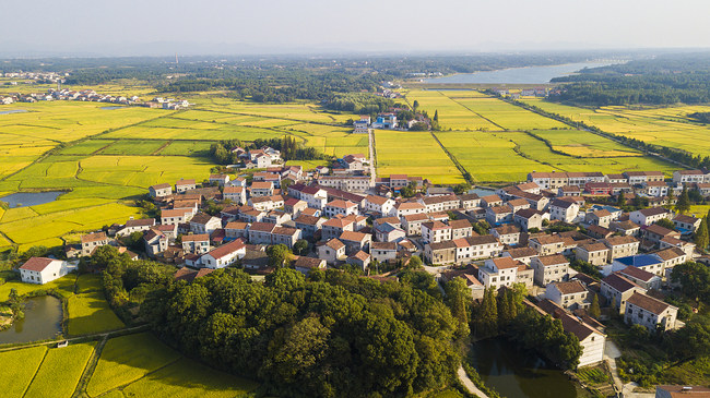 Zona rurale, Yueyang, provincë Hu'nan(Foto: VCG)