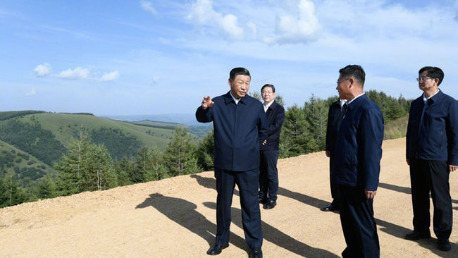 Čínský prezident Xi Jinping na návštěvě lesní farmy Saihanba v severočínské provincii Hebei, 23. srpna 2021. Fotografie: Tisková agentura Nová Čína / Xinhua