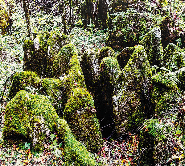 V Geoparku řeky Nuoshui je kamenný les. [Fotografii poskytl Deník China Daily]