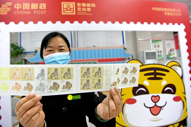 Snímek: Členka personálu drží sadu speciálních známek pro Rok tygra, dne 5. ledna 2022 v Pekingu v Číně. /CFP