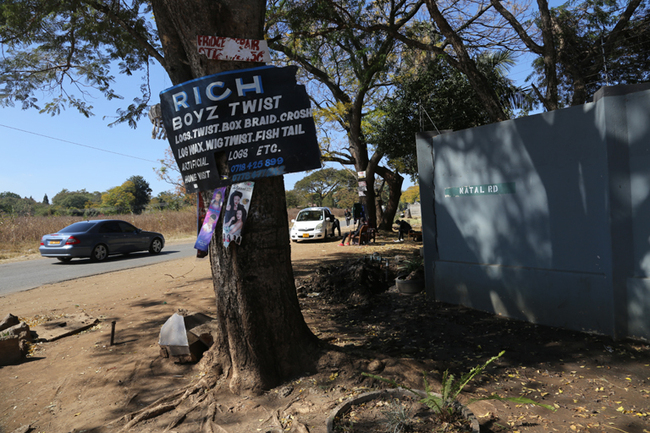 Afiŝo sur la arbo, kiu indekas la “subarban frizosalonon”.