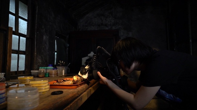 Zhou Qingfeng - Fotographin der Schleimpilze<br>Foto von CGTN