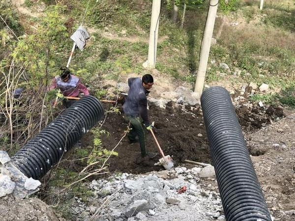 Quan Qinghai(r.) bei der Arbeit<br>Foto von Xinhua