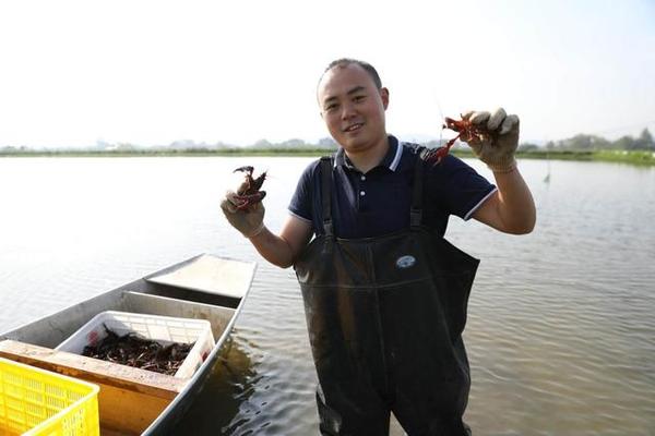 Yu Chao beim Fang von Flusskrebs auf seinem Bauernhof<br>Foto von Xinhua