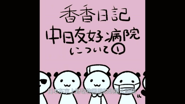 „Xiangxiangs Tagebuch“