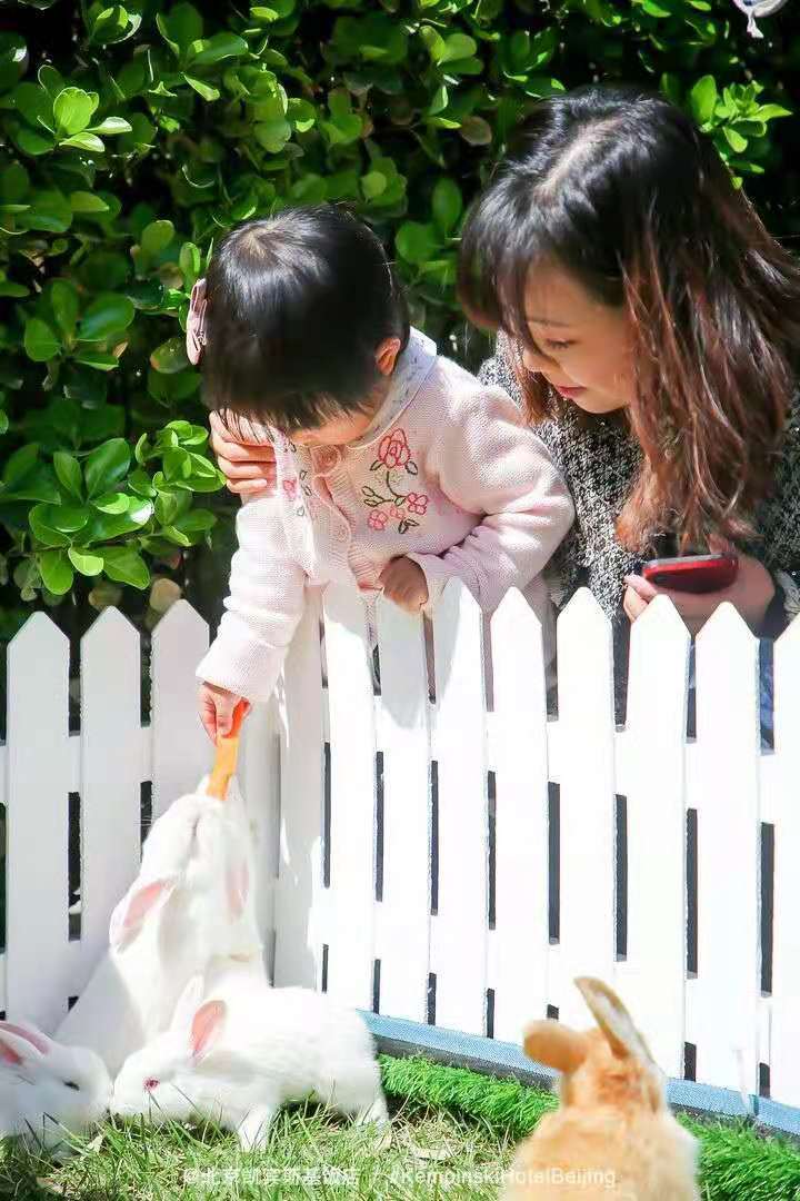 Auf der Suche nach Ostereiern auch in Beijing