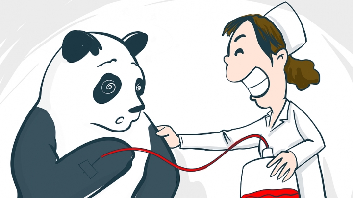 “Panda blood” donors in Wuhan save over 2,000 patients in three years