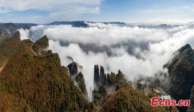 Μια άποψη από το Εθνικό Γεωπάρκο του Μεγάλου Φαραγγιού του Ενσί, στην Αυτόνομη Νομαρχία Νομαρχία Ενσί Τουτζιά και Μιάο, στην επαρχία Χουμπέι της κεντρικής Κίνας, στις 30 Οκτωβρίου 2021. (Φωτογραφία: China News Service)