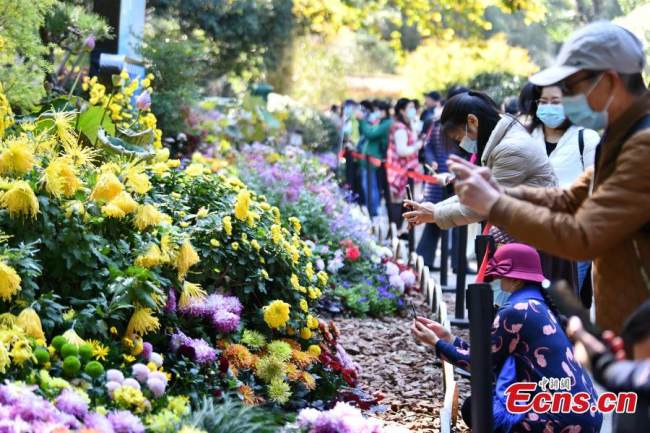Επισκέπτες βγάζουν φωτογραφίες με πολύχρωμα χρυσάνθεμα (菊花: Júhuā) στη 2η Έκθεση (展览: zhǎnlǎn) Χρυσάνθεμων του Δέλτα του ποταμού Γιανγκτζέ στον Βοτανικό Κήπο (植物园: zhíwùyuán) του Χανγκτζόου της επαρχίας Τζετζιάνγκ στις 10 Νοεμβρίου 2021. (Φωτογραφία/ China News Service)