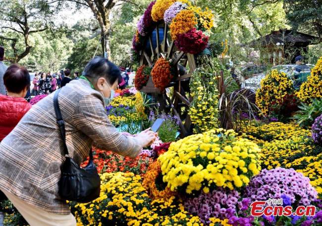 Επισκέπτες βγάζουν φωτογραφίες με πολύχρωμα χρυσάνθεμα στην 2η Έκθεση Χρυσάνθεμων ( 菊花展览: Júhuā zhǎnlǎn) του Δέλτα του ποταμού Γιανγκτζέ στον Βοτανικό Κήπο (植物园: zhíwùyuán) του Χανγκτζόου της επαρχίας Τζετζιάνγκ στις 10 Νοεμβρίου 2021. 