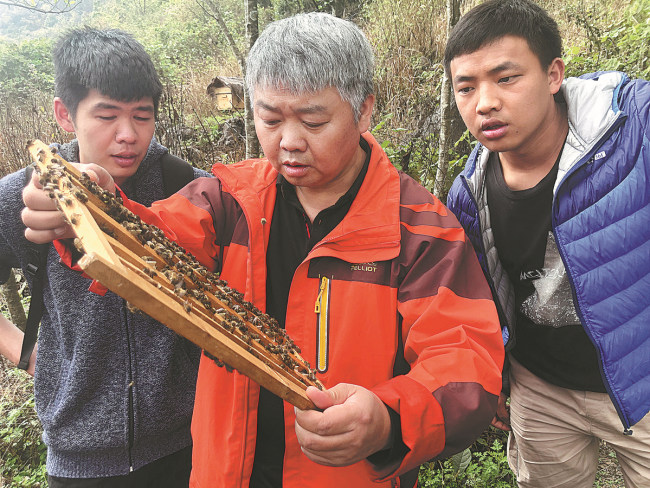 Ο Κουάνγκ εξηγεί μεθόδους μελισσοκομίας σε δύο κατοίκους στο χωριό Σιντζού του Λιτζιάνγκ, επαρχία Γιουνάν. (CHINA DAILY)