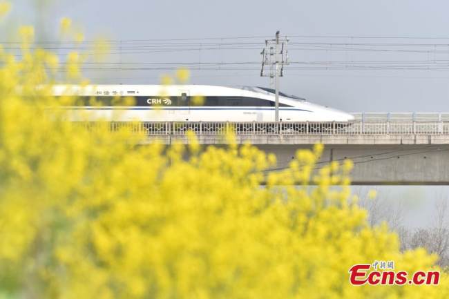 Ένα τρένο υψηλής ταχύτητας ενώ κινείται δίπλα σε μια θάλασσα κίτρινων λουλουδιών στο Τσαοχού, στην επαρχία Ανχούι, στις 13 Μαρτίου 2022.