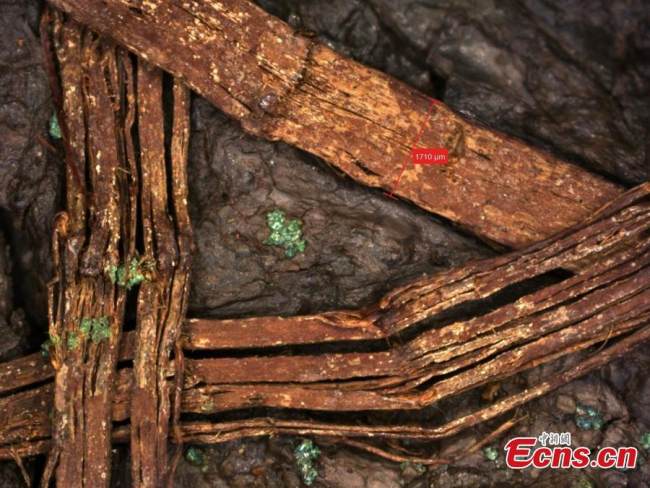 Η φωτογραφία αρχείου δείχνει προϊόντα ύφανσης μπαμπού όπως φαίνονται στο μικροσκόπιο. (Η φωτογραφία παρέχεται στην υπηρεσία China News Service)