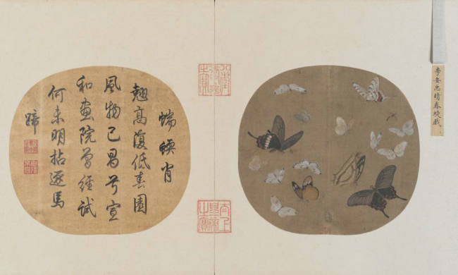 Πεταλούδες την Άνοιξη, Δυναστεία Σονγκ (960-1279) [Φωτογραφία/dpm.org.cn]