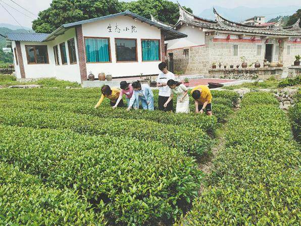 Η Χσου (πρώτη αριστερά) ελέγχει τα φύλλα τσαγιού με τους μαθητές της στην πόλη Λονγκμέν, Φουτζιέν. [Η φωτογραφία παρέχεται στην China Daily]