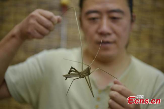 Μια ψάθινη ακρίδα φτιαγμένη από τον Χαν Λιουγιέ στο Σιτζιατζουάνγκ της επαρχίας Χεμπέι της βόρειας Κίνας, 11 Ιουλίου 2022. (Φωτογραφία: China News Service)