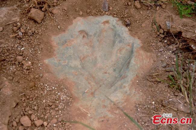 Η φωτογραφία που τραβήχτηκε στις 11 Ιουλίου 2022, δείχνει ένα αποτύπωμα δεινοσαύρου που ανακαλύφθηκε στη Χουανχουά της πόλης Τζανγκτζιακόου, στην επαρχία Χεμπέι της βόρειας Κίνας. (Η φωτογραφία παρέχεται στην υπηρεσία China News Service)