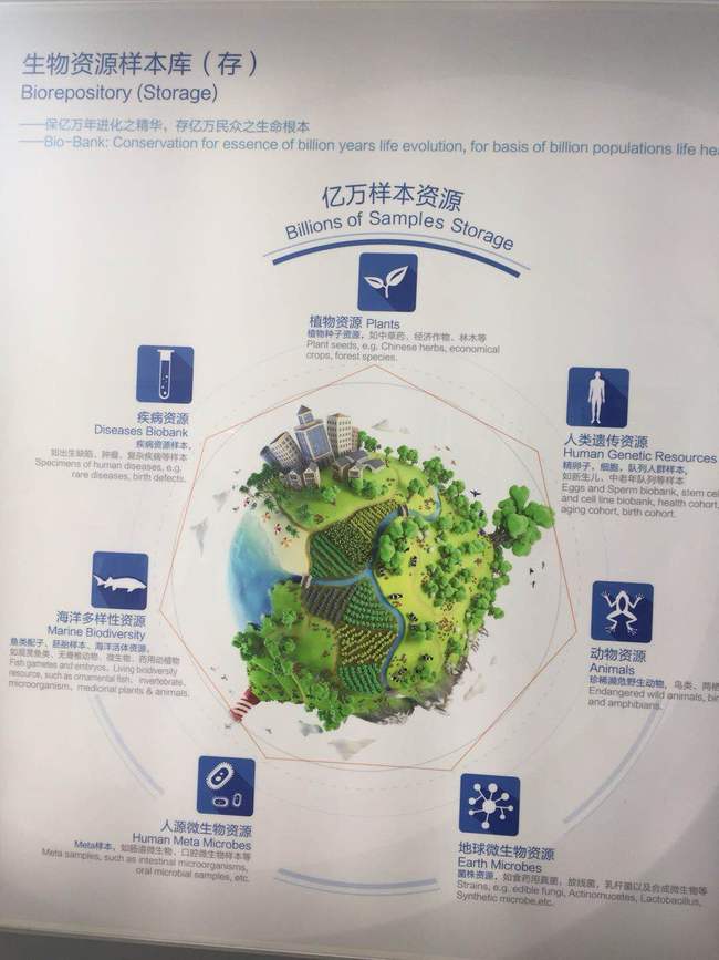 Conheça o “Banco da Vida” em Shenzhen, maior banco de genes do mundo