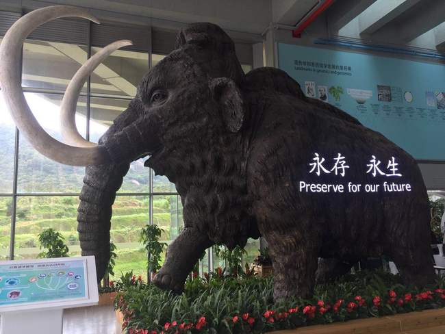 Conheça o “Banco da Vida” em Shenzhen, maior banco de genes do mundo