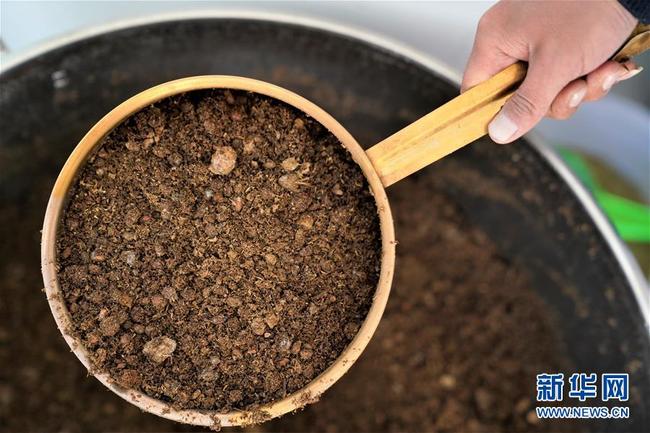 Feira do vinho promove intercâmbio e cooperação entre China e Portugal