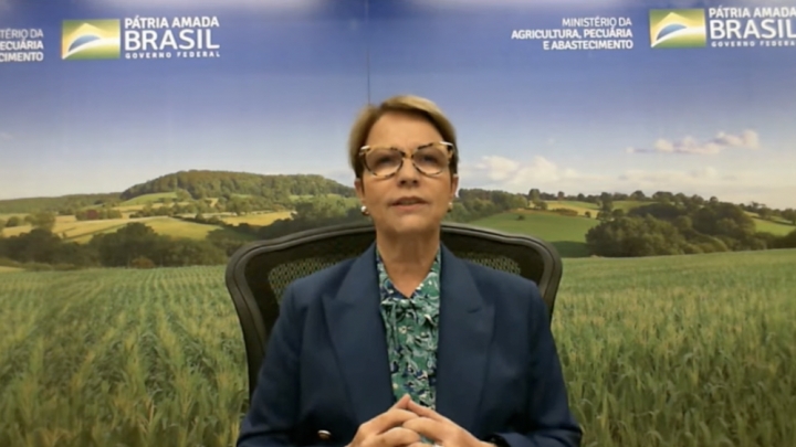 Ministra da Agricultura espera exportar mais frutas brasileiras para a China