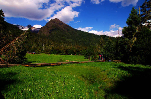 Excursie în judeţul Medog Excursie în judeţul Medog