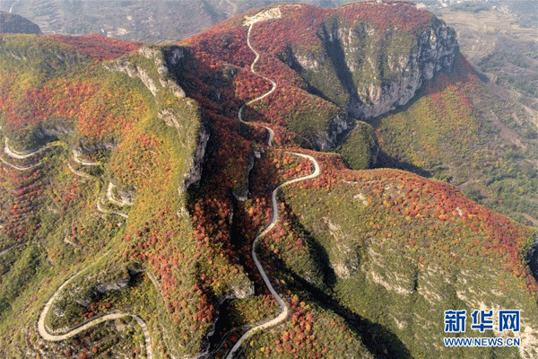 Chaiguanxiang din Hebei, capătă nuanțe tomnatice