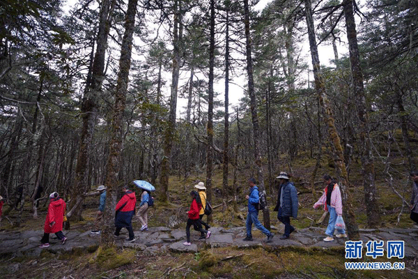 Muntele Laojunshan, patrimoniu naţional