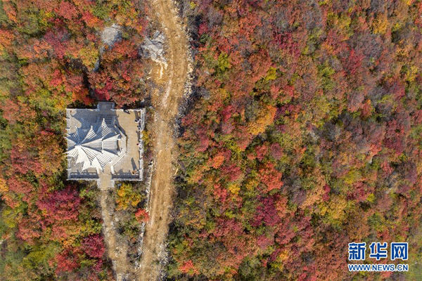 Chaiguanxiang din Hebei, capătă nuanțe tomnatice