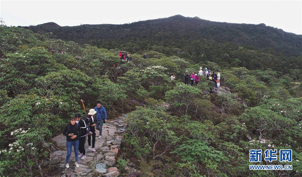 Muntele Laojunshan, patrimoniu naţional