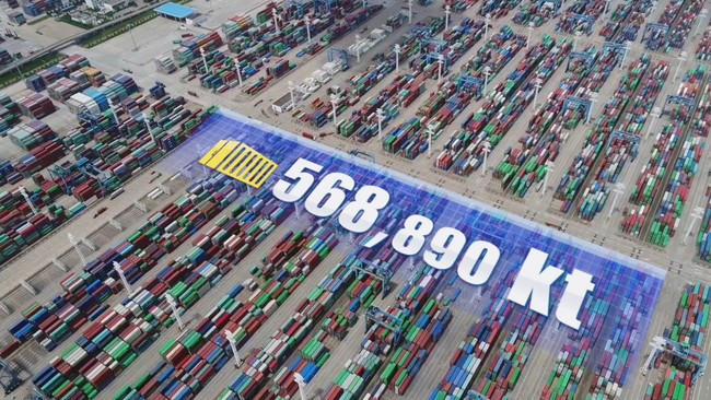 Asigurarea transporturilor Asigurarea transporturilor