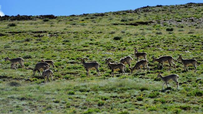 Lacuri sfințite din Tibet Lacuri sfințite din Tibet