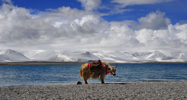 Lacuri sfințite din Tibet