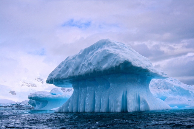 Ghețarii, pe cale de dispariție