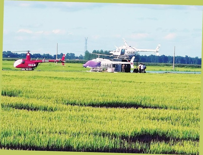 Satul Hongguang orientat spre agricultura modernă Satul Hongguang orientat spre agricultura modernă