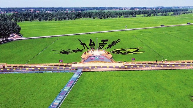 Satul Hongguang orientat spre agricultura modernă Satul Hongguang orientat spre agricultura modernă