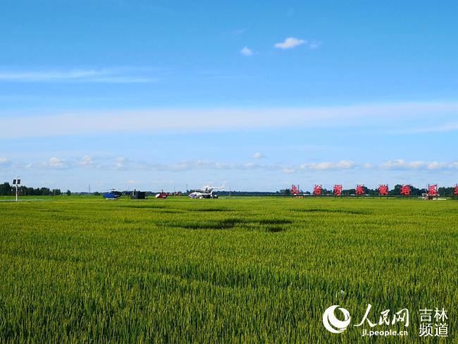 Satul Hongguang orientat spre agricultura modernă