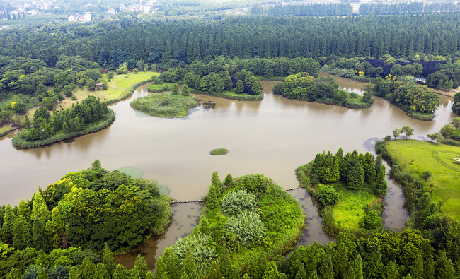 Chongming dezvoltă turismul profilat pe flori