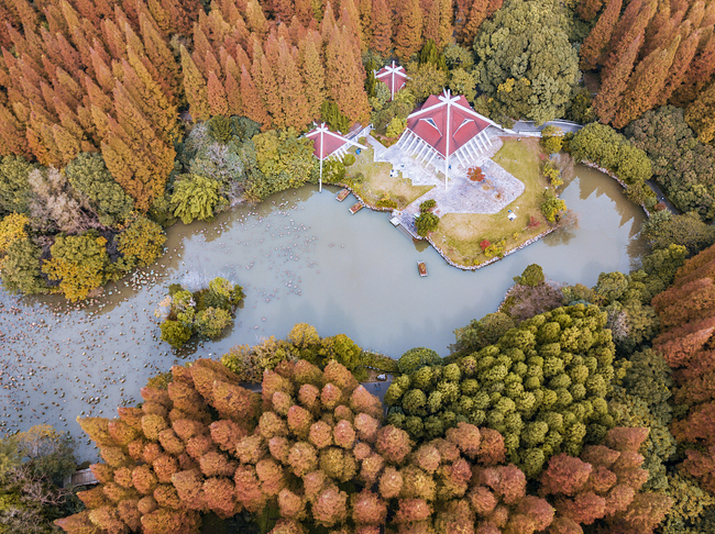 Chongming dezvoltă turismul profilat pe flori