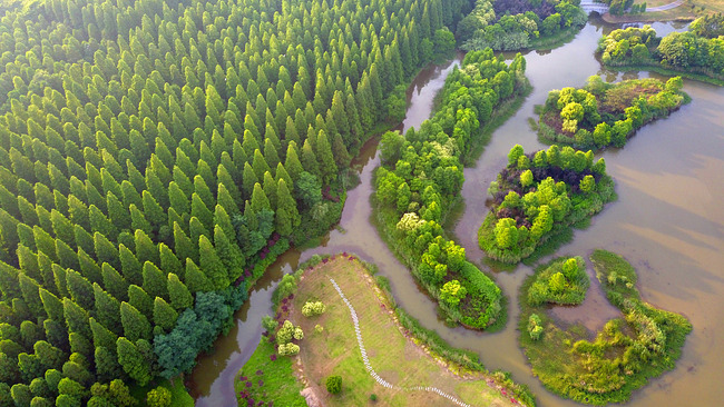 Chongming dezvoltă turismul profilat pe flori