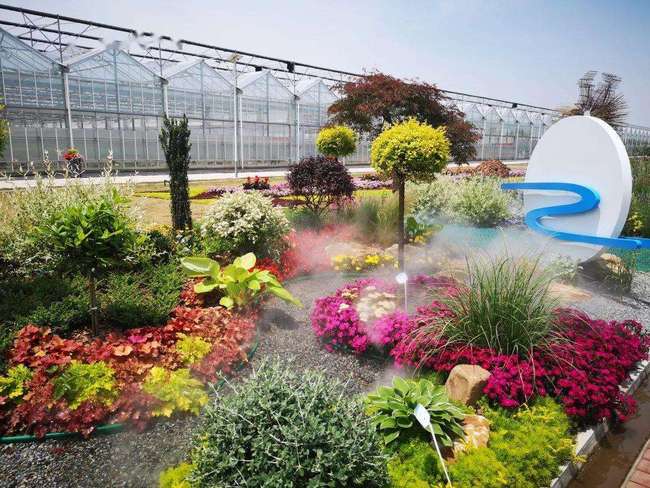 Chongming dezvoltă turismul profilat pe flori