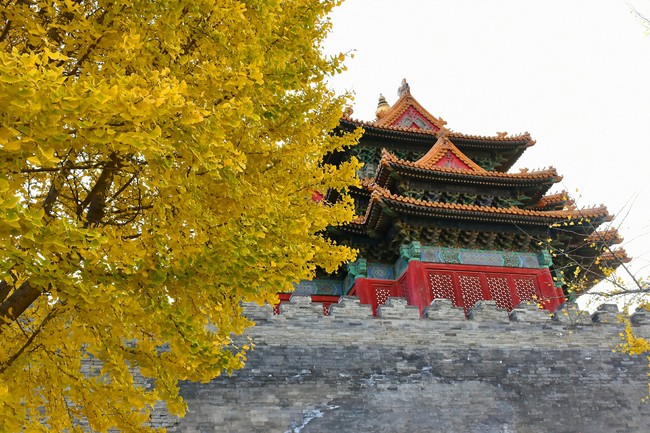 Arborele pagodelor din Orașul Interzis