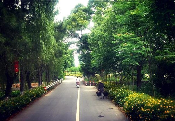 Satele din Wuzhen oferă o experiență autentică a vieții rurale